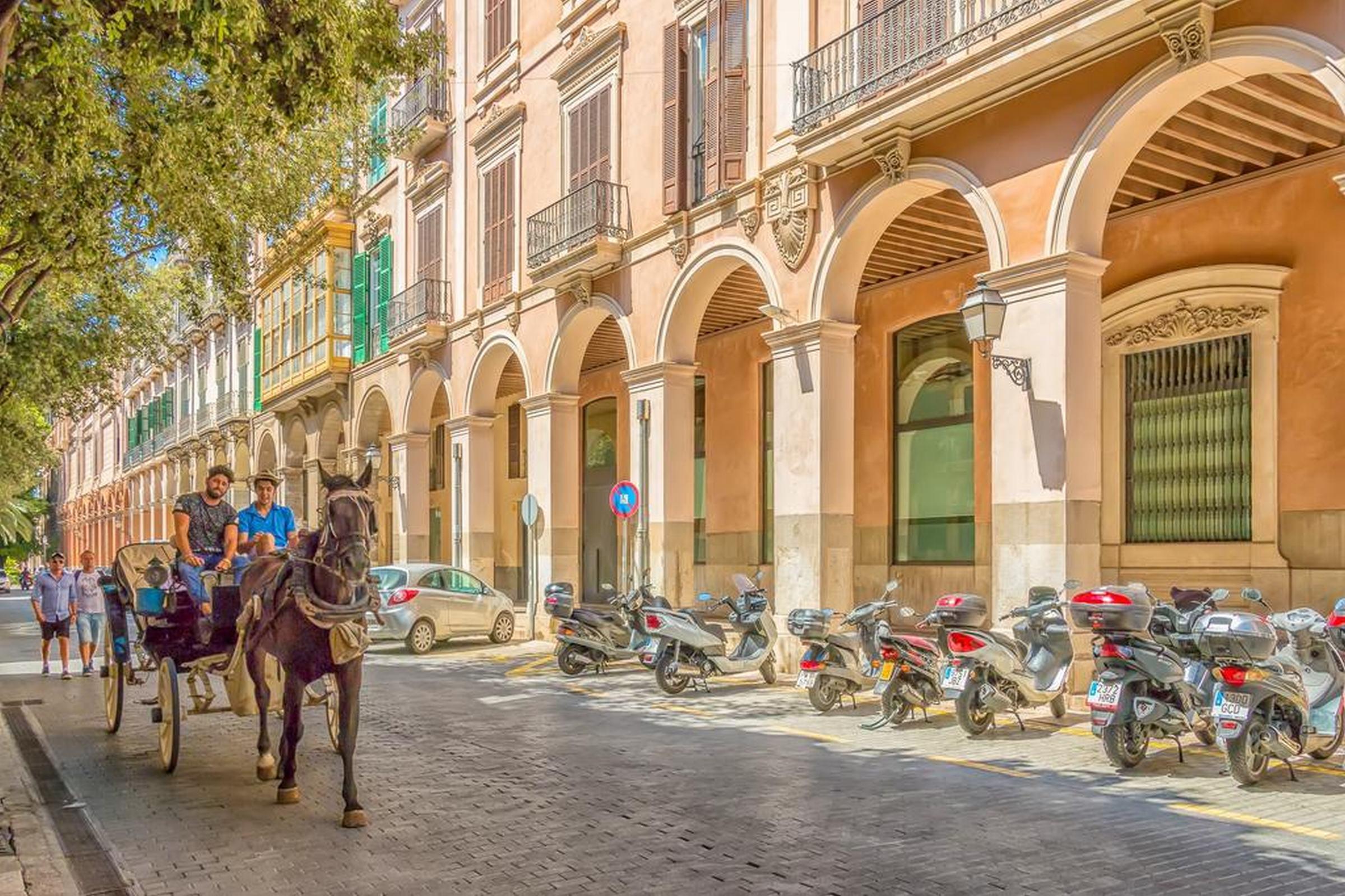 Icon Roseto Otel Palma de Mallorca Dış mekan fotoğraf