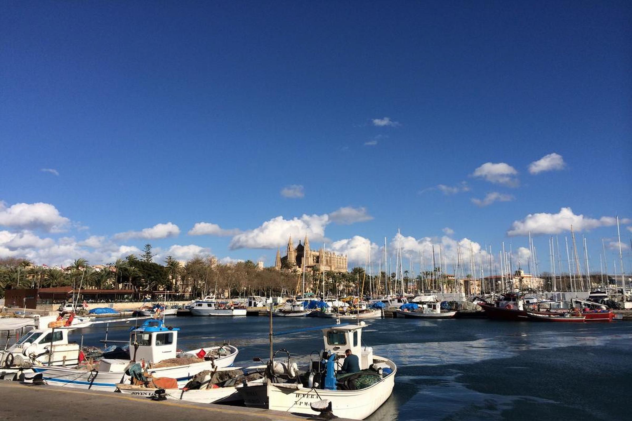 Icon Roseto Otel Palma de Mallorca Dış mekan fotoğraf