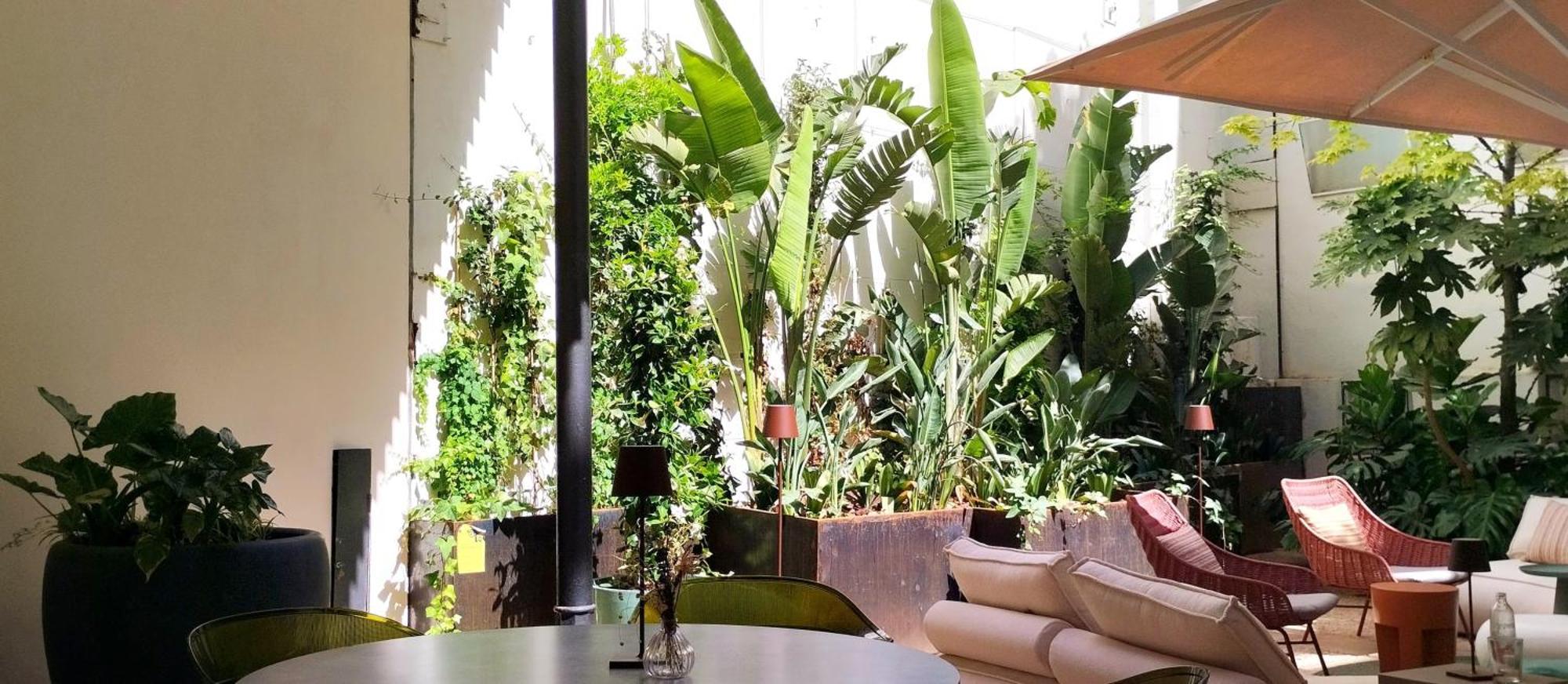 Icon Roseto Otel Palma de Mallorca Dış mekan fotoğraf